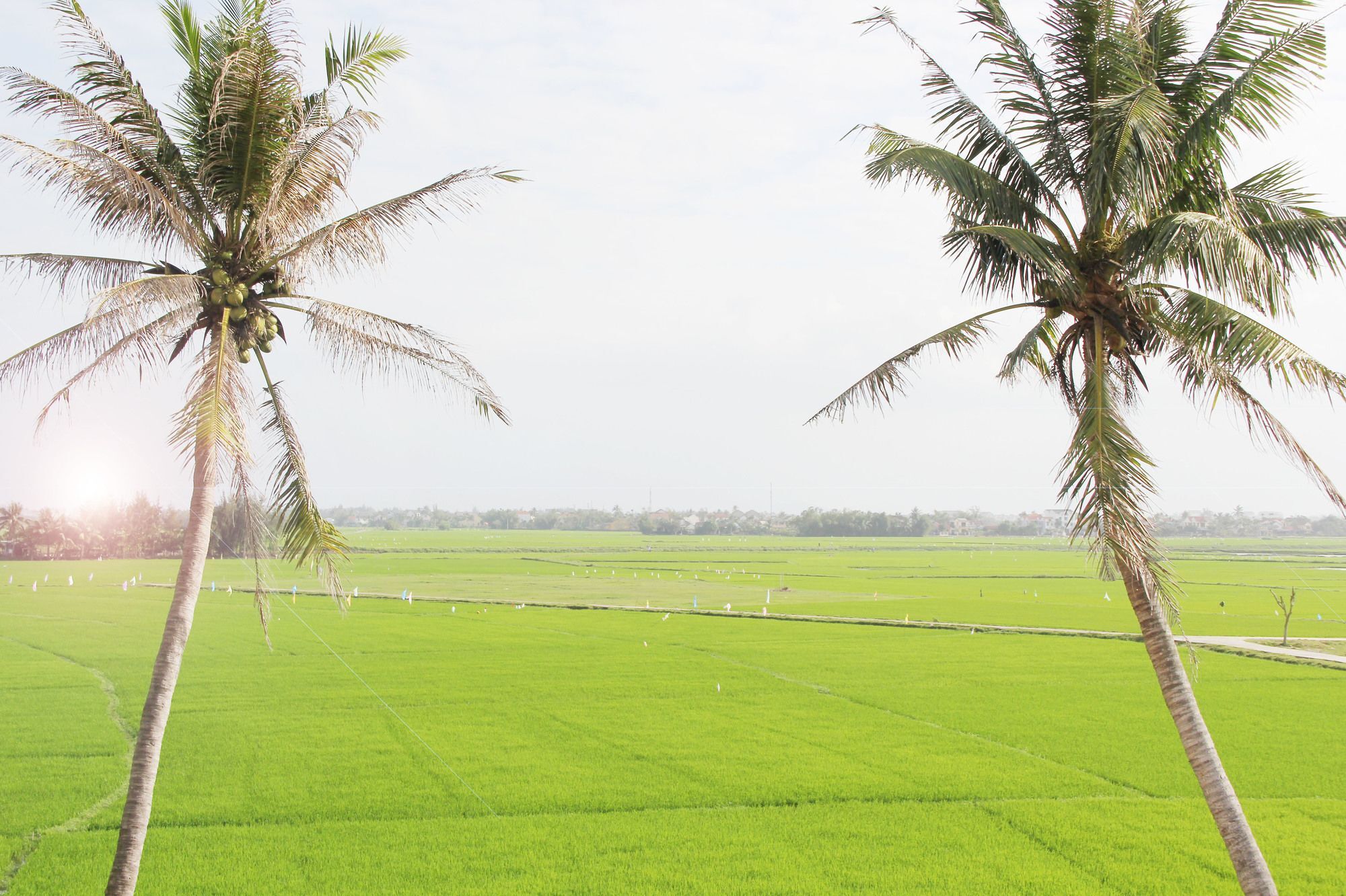 Hoi An Four Season Villa Bagian luar foto